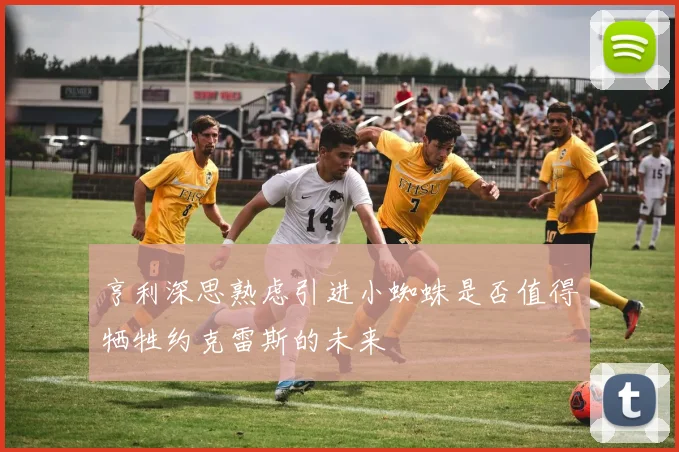 亨利深思熟虑引进小蜘蛛是否值得牺牲约克雷斯的未来